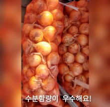 ★이웃사촌★ 2021년 햇노랑 양파3kg
