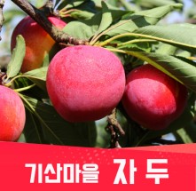 ★행복마을★ [기산마을] 자두(특/상) 2kg(16~22과)