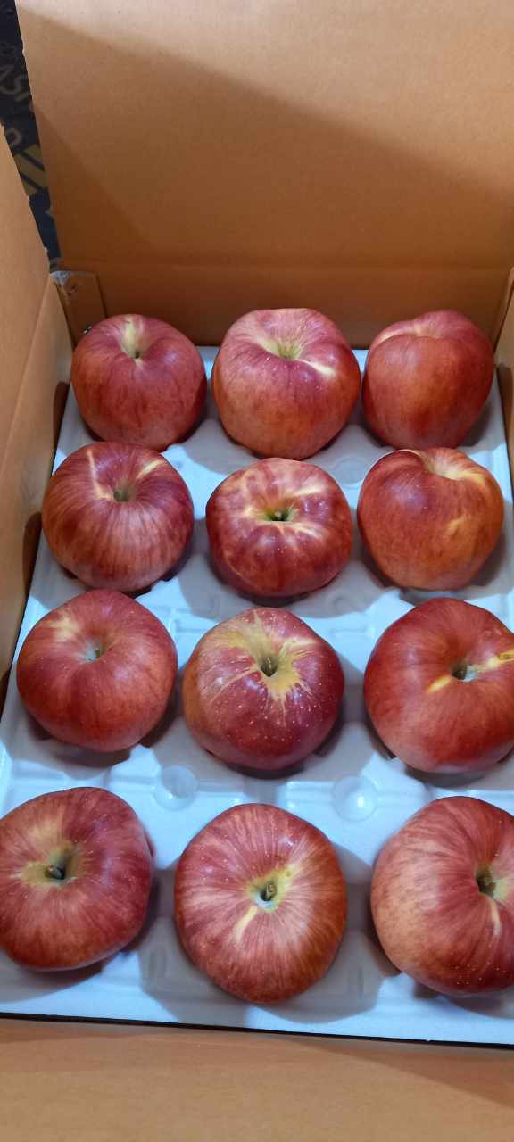 [기산마을] 사과(홍로) 5kg  (23~25과내외)