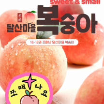 [달산마을]2021년 sweet&small 복숭아 5kg