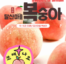 [달산마을]2021년 sweet&small 복숭아 5kg