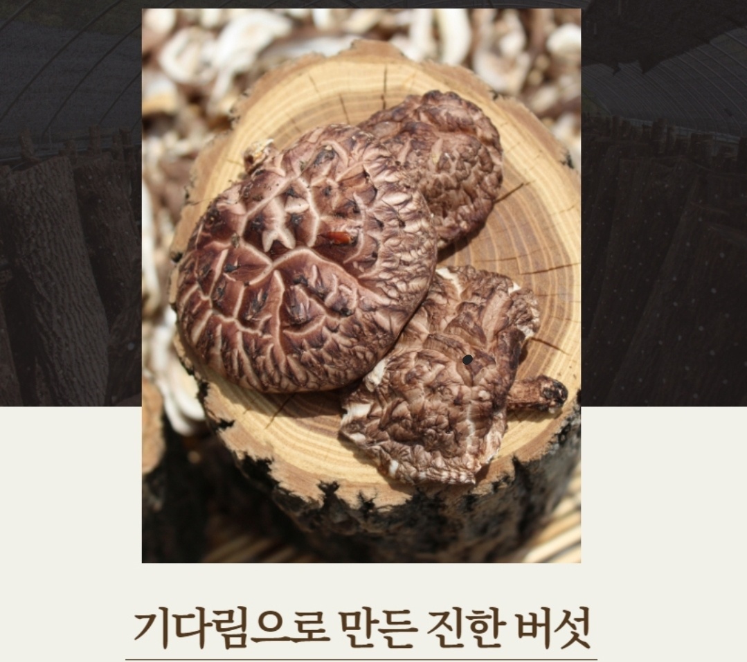 [성주로컬푸드]참나무숲표고농원 우봉진의버섯세상 표고버섯 목이버섯 명절선물세트(3호)