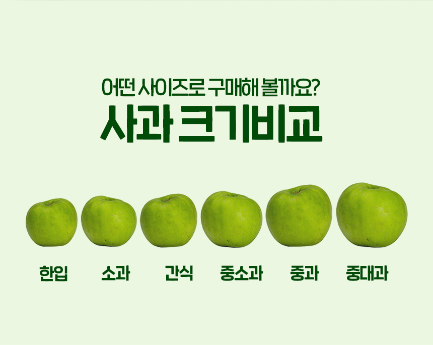 새콤 달콤 햇 아오리 썸머킹 사과 가정용 3kg/5kg/10kg[학가산 사과꽃필무렵]