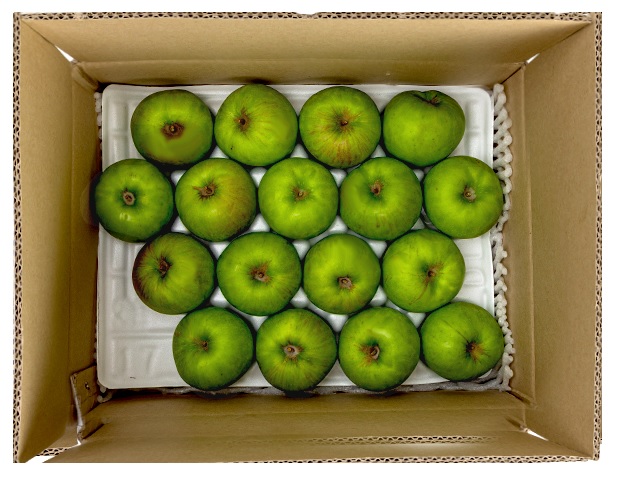 새콤 달콤 햇 아오리 썸머킹 사과 가정용 3kg/5kg/10kg[학가산 사과꽃필무렵]