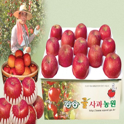 [청송꿀사과농원사과]청송사과홍로4kg(13-15과)