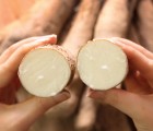 [건강밥상] 안동 참마 장마 산지직송 2.5.9kg