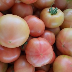 ★이웃사촌★ 칠곡 기산마을 친환경 무농약 토마토 5kg(30~40과) 무료배송