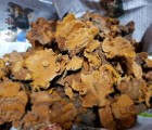 [영주장터농원] 자연산 야생찔레상황 버섯 (선물용)건조 300g