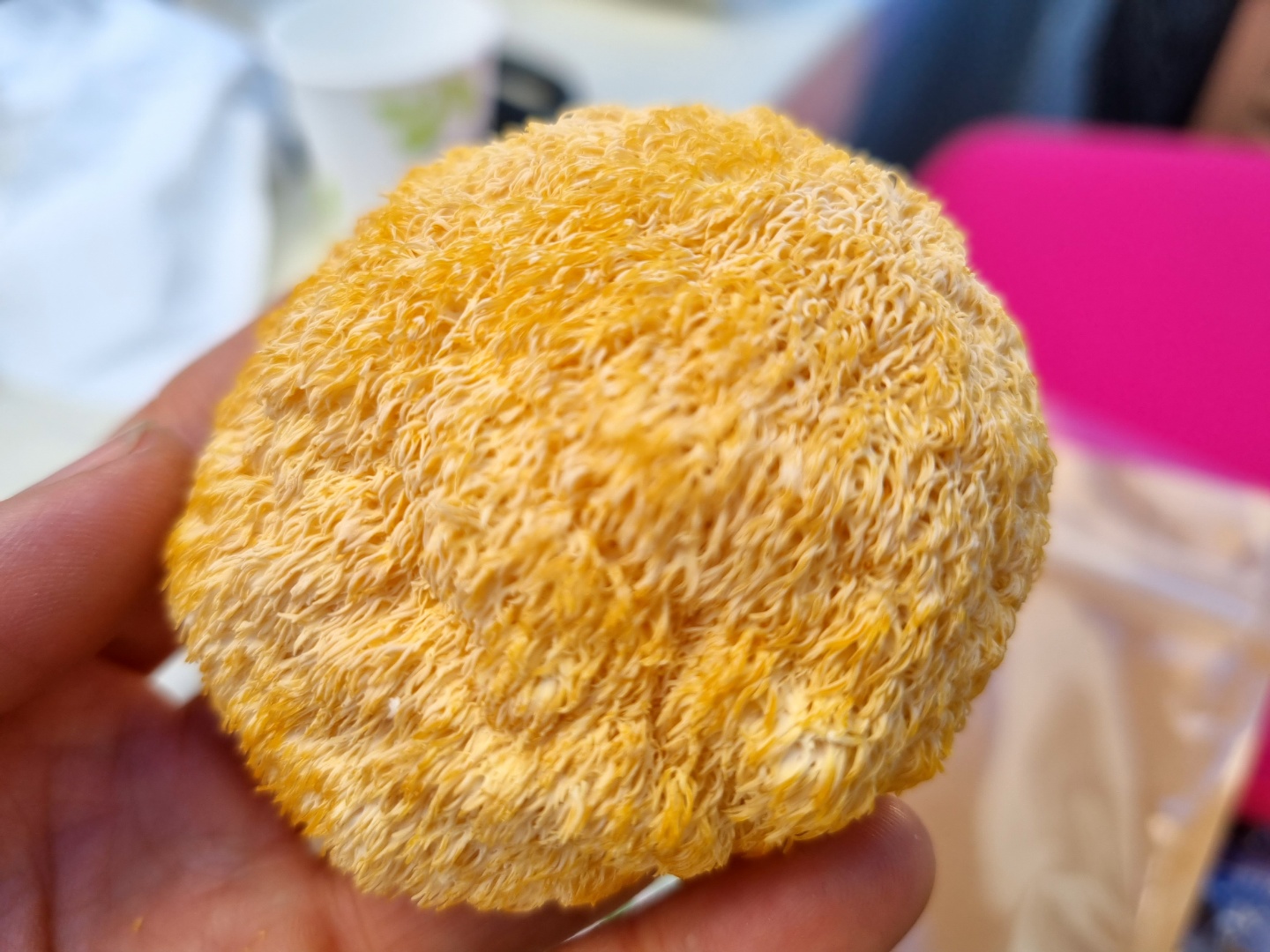 [성주로컬푸드]우봉진의버섯세상 건노루궁뎅이버섯 100g