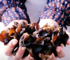 [성주로컬푸드]우봉진의버섯세상 생목이버섯 500g*2팩