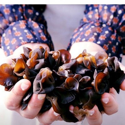 ★행복마을★ [성주로컬푸드]우봉진의버섯세상 생목이버섯 500g*2팩