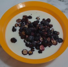 [가야산아래] 땡큐베리블루팜 블루베리 듬뿍 후레이크 20g*5개 과일칩