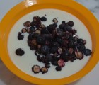 ★행복마을★ [가야산아래] 땡큐베리블루팜 블루베리 듬뿍 후레이크 20g 과일칩