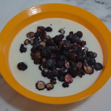 [가야산아래] 땡큐베리블루팜 블루베리 듬뿍 후레이크 20g 과일칩