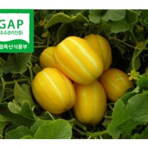 [가야산아래] GAP 성주명품참외 가정용3kg