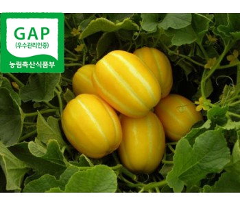 [가야산아래] GAP 성주명품참외 가정용3kg
