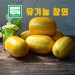 [가야산아래] 짱아찌용, 피클용 5kg(미숙과 5kg) 유기농참외 미숙과 5kg