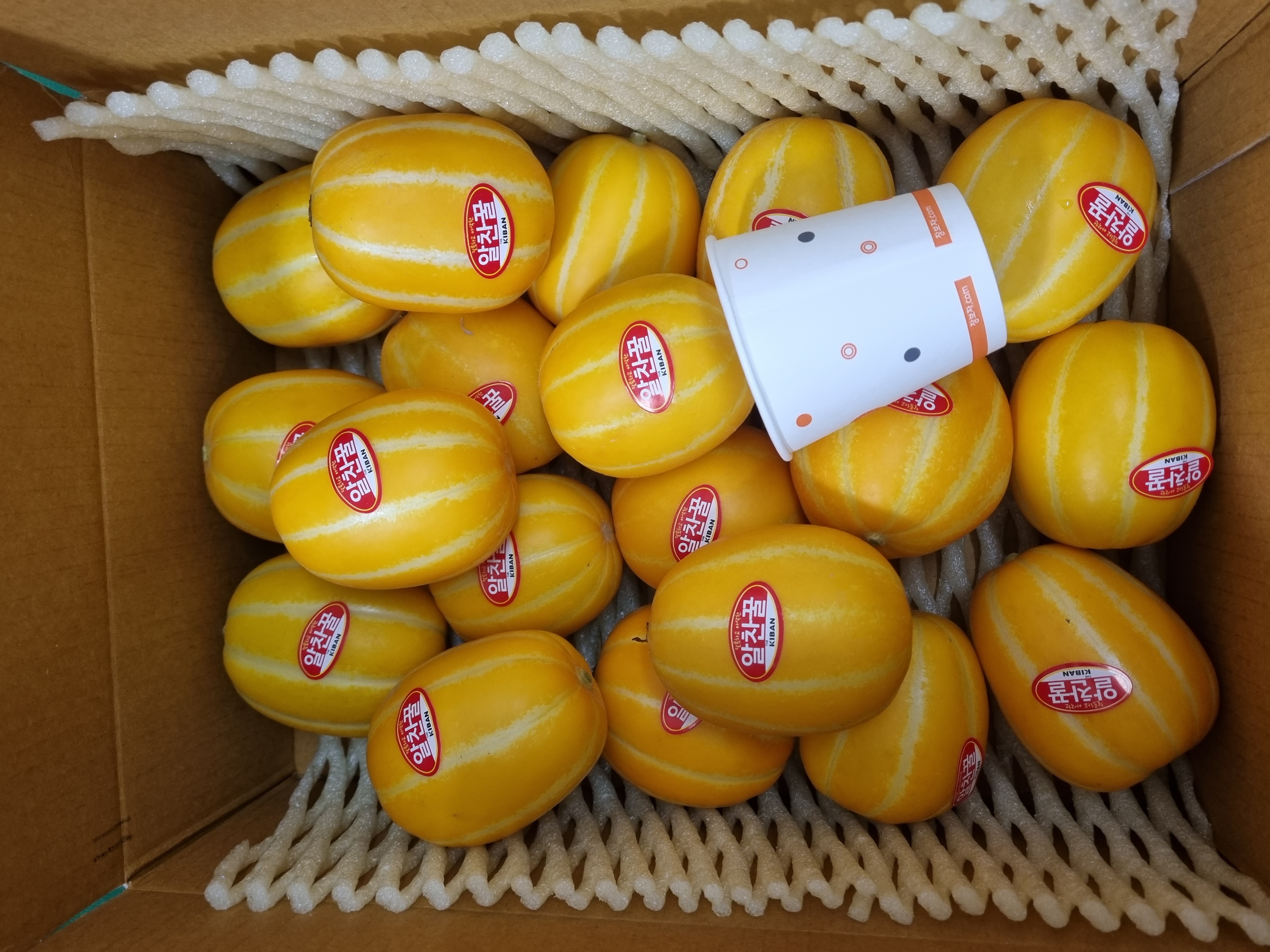 [성주로컬푸드]성주꼭두새벽참외 꼬마 10kg > 참외 | 사이소