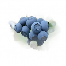 [가야산아래] 냉동블루베리 2kg 땡큐베리블루팜 블루베리2Kg