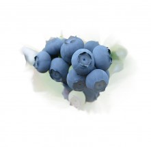 ★행복마을★ [가야산아래] 냉동블루베리 2kg 땡큐베리블루팜 블루베리2Kg