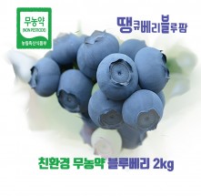 ★행복마을★ [가야산아래] 땡큐베리블루팜 블루베리1Kg. 예약주문 순차배송