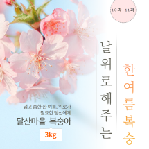 [달산마을]한여름의 맛 딱딱이 복숭아 3kg (10~11과)