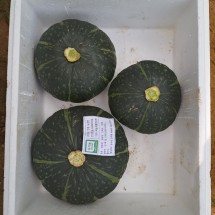 [가리점마을] 유기농단호박 3kg
