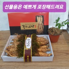 [이순남홍삼] 풍기인삼 1채 750g 5년근 (11~14뿌리, 종이상자 포장)