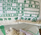 [대우농장] 2023년 가을 추수한  백미(삼광) 8kg