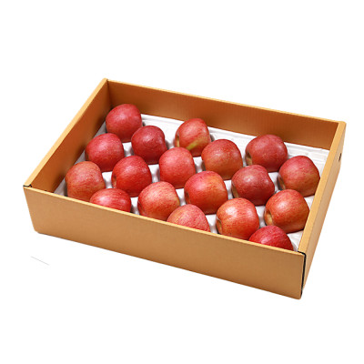 [더파머스] 아리수 사과 5kg (18-19과)