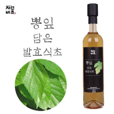 [농업회사법인(주)들산초] 자연비초/뽕잎 담은 발효식초 500ml