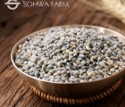 [소화농장] 2023년 청보리 1kg 보리쌀