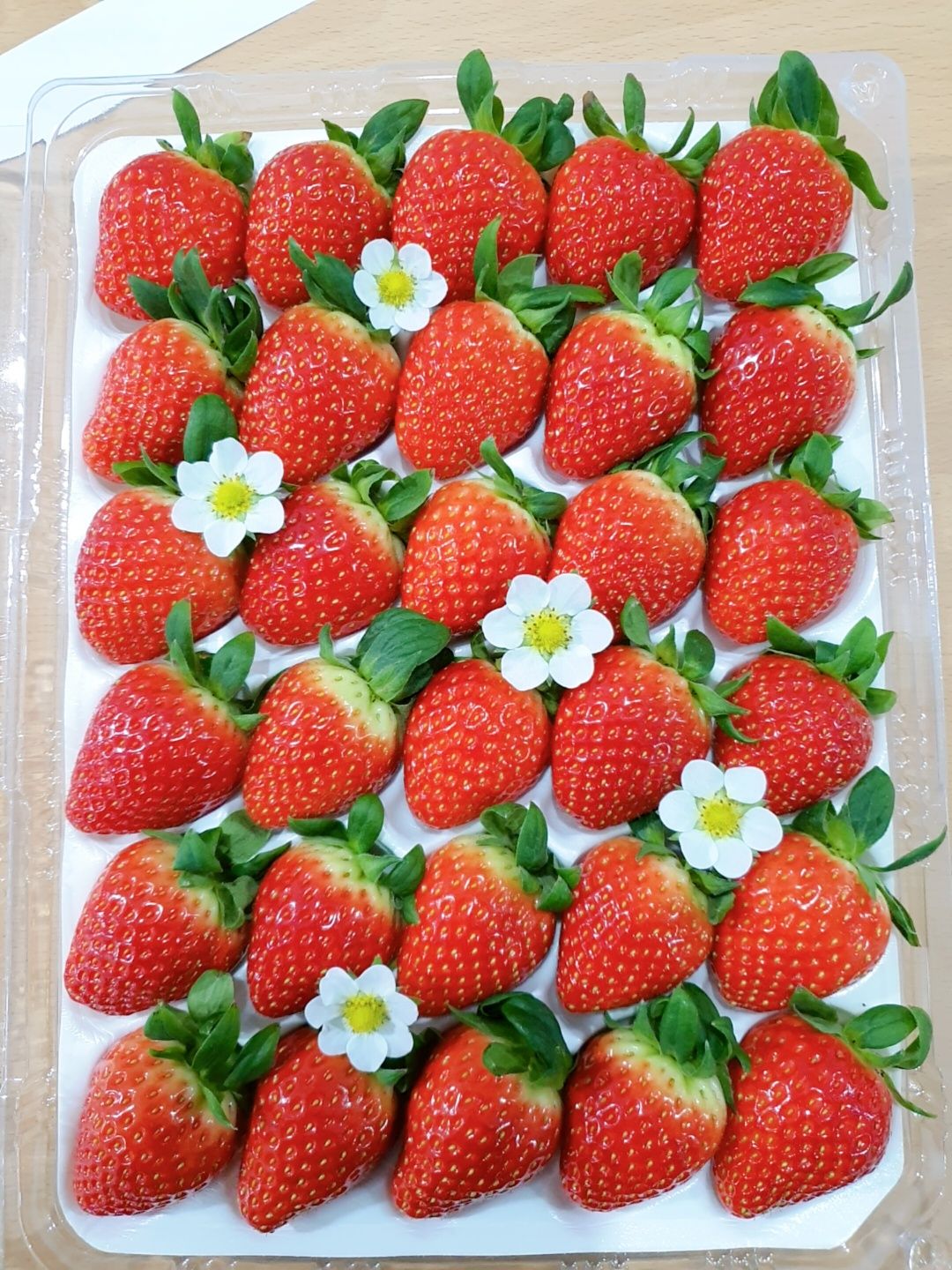[기산마을] 베리베리굿 딸기 900g (1669878932) | 사이소