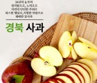 [소백산유진맘][선물용]고랭지 새콤달콤아삭 부사 영주사과