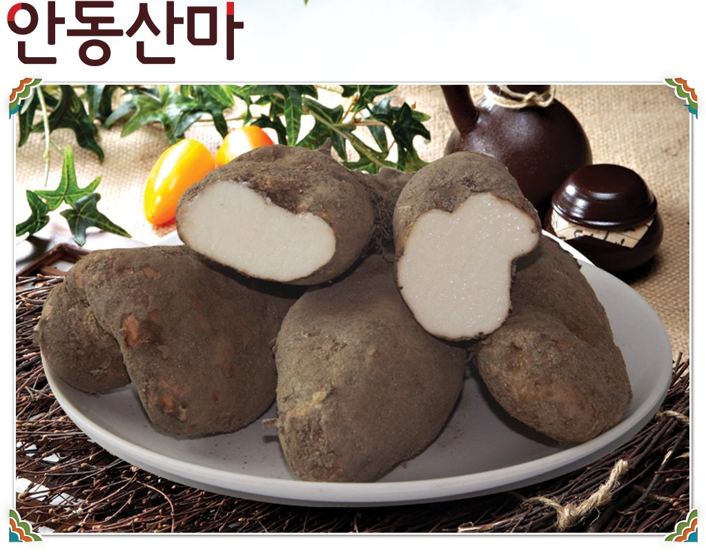 [산촌청계]2023년 햇마 안동 산마 중5kg, 상5kg, 산마가정용10kg > 마/천마 | 사이소
