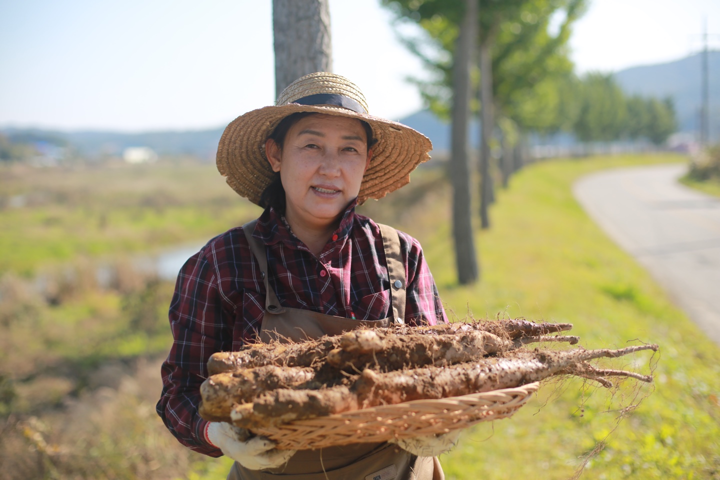 [들녘의농부들] 안동마 혼합(산마+장마) 4kg > 마/천마 | 사이소