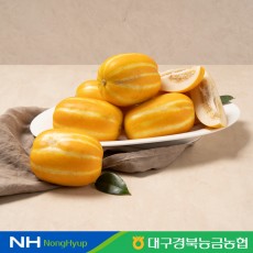 [경북능금농협] 성주 꿀 참외 2.5kg(6~13과) 가정용 산지직송