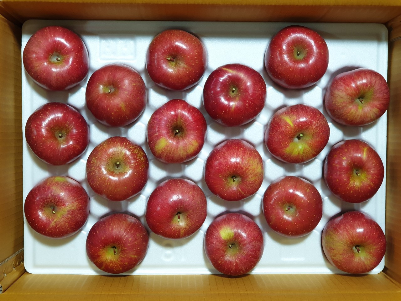 [유아랑농원] 아삭달콤 홍로사과 5Kg 중간크기 15과~17과 (1678661725) | 사이소