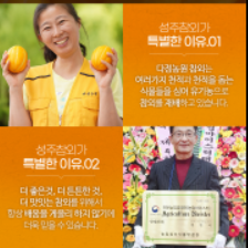[성주로컬푸드]유기농성주참외3kg