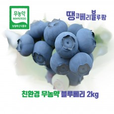 [가야산아래] 땡큐베리블루팜 블루베리2Kg 선물용(특상)
