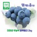 [가야산아래] 땡큐베리블루팜 블루베리2Kg 대과 선물용(특상)