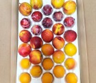 [일농] 과일꾸러미 배니자두 살구 옐로우드림 선프레이 플럼코트 총 2.5kg