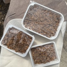 [황새마을식품] 국산 냄새없는 맛있는 저염 청국장 300g 500g 1kg