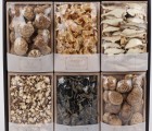 [광명협동조합] 건버섯 6종 선물세트