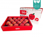 [경북농협] 데일리 사과 과일선물세트 5kg(11-13과, 14-16과)