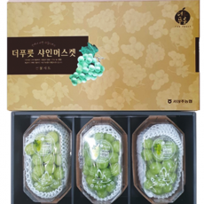 [경북농협] 맛있는 제철과일 상주 샤인머스켓 선물세트 2kg(3수)