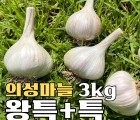 [배감독농원] 2023 의성명품마늘 왕특+특 3kg 추석선물, 김장용
