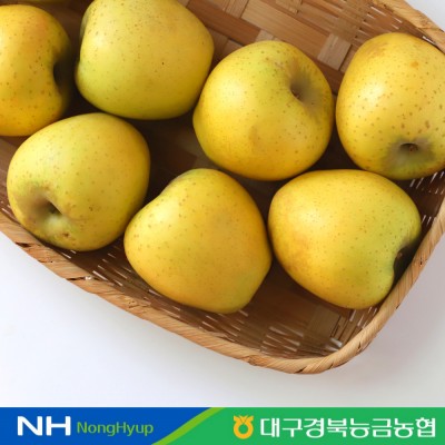 [경북능금농협] 청송 황금빛 사과 3kg 11과내