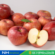 [경북농협] 데일리 사과(부사) 3kg(10-14과)