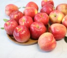 ［청송 송학농원］청송 명품 껍질째 먹는 꿀 사과 햇부사 5kg